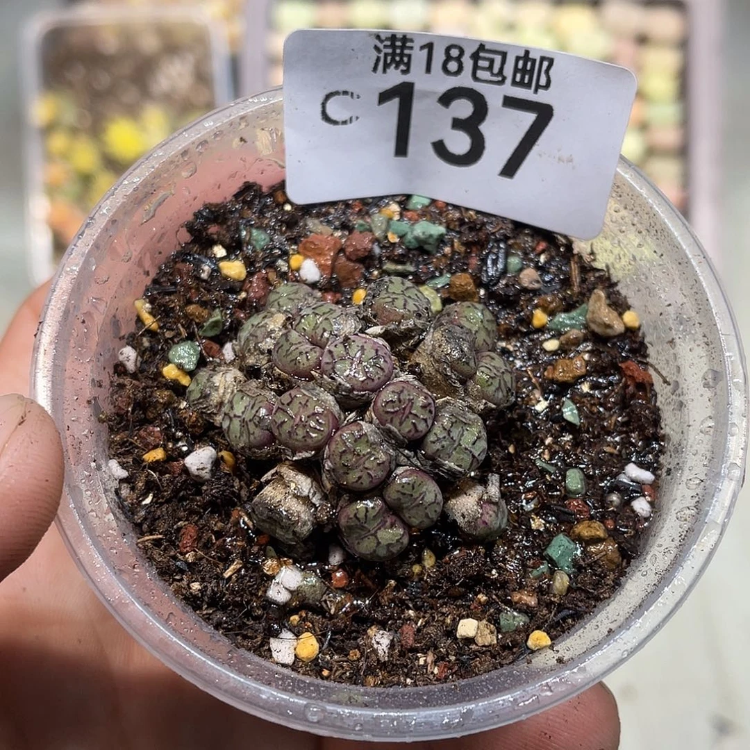 当天凑满十八元包邮137