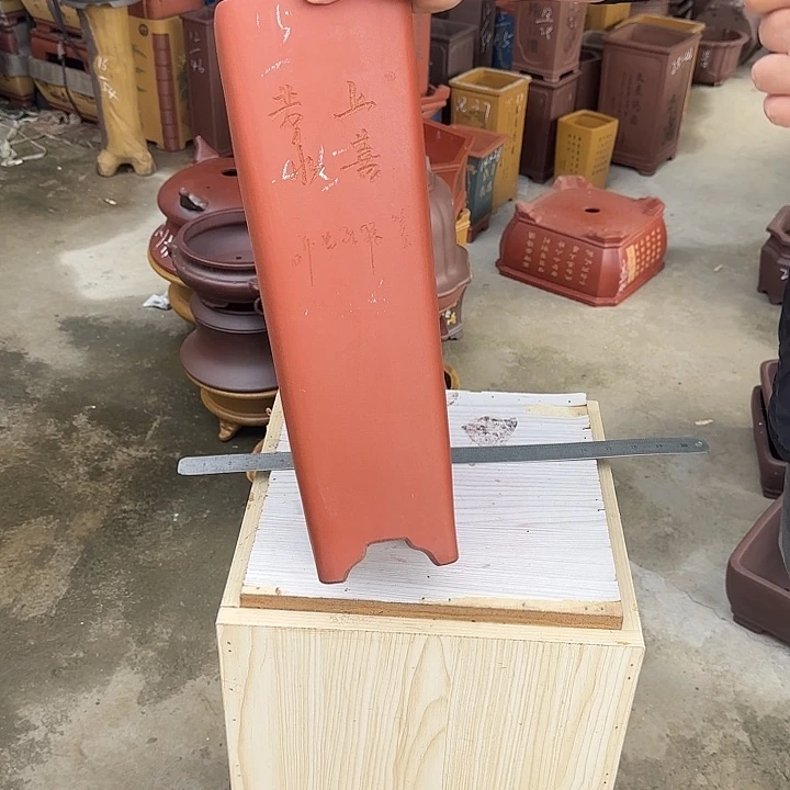 一***遥这是什么神仙爱情