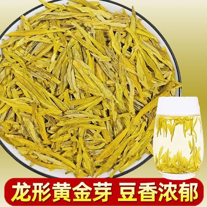2025年龙型黄金芽 高豆香浓豆香浓香耐泡  A