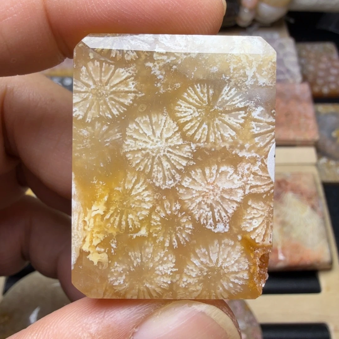 硅化玉未镶嵌纯天然色有机玉石保真色