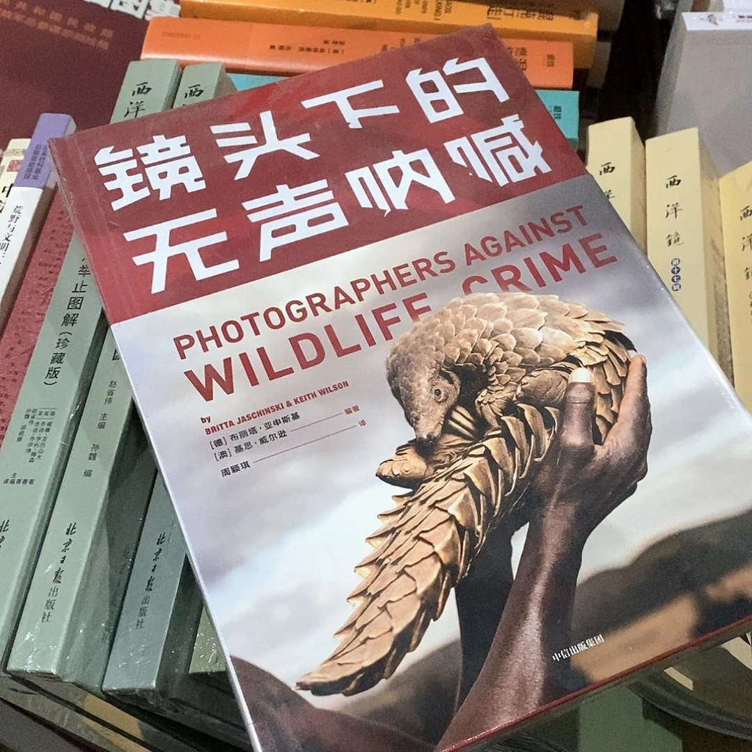 镜头下什么……