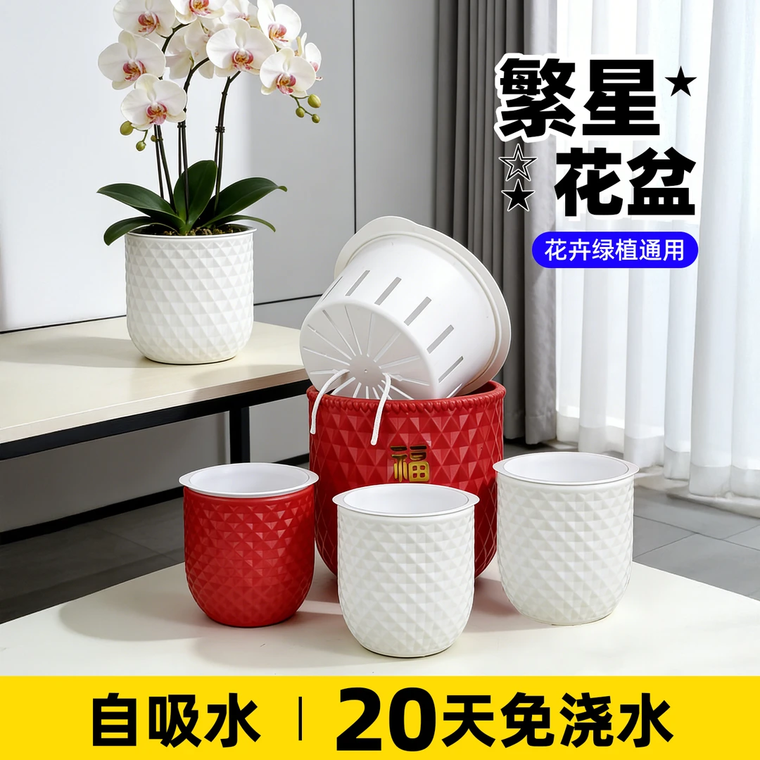 水培花盆懒人自动吸水盆家用塑料树脂高级感兰花蝴蝶兰专用花盆