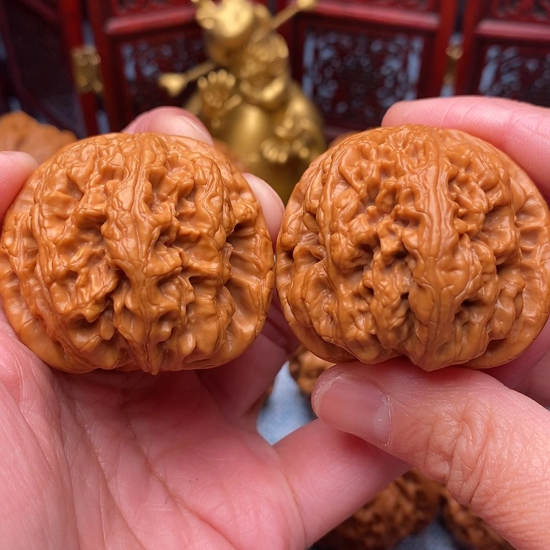 文玩核桃把件毕业粗筋肉球44尺