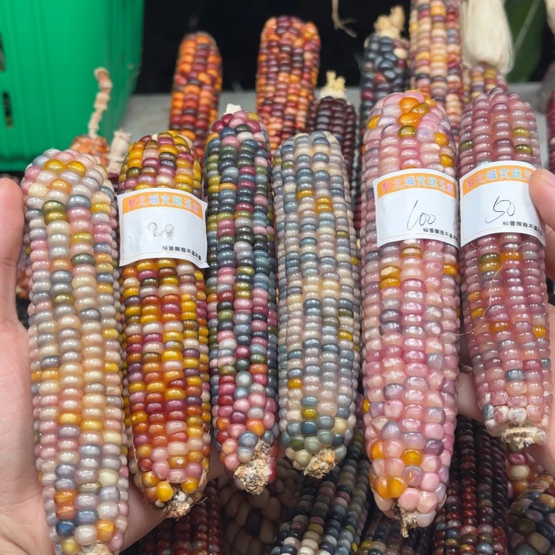 小***猫吊坠柏香籽/百香籽