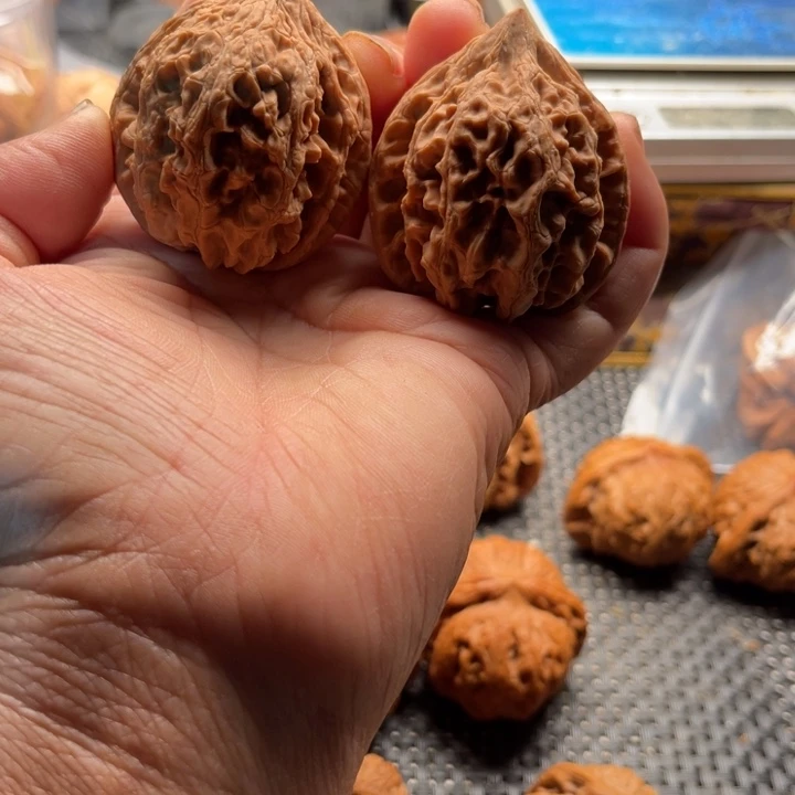 崔***辉桃核把件全品大姑石边43