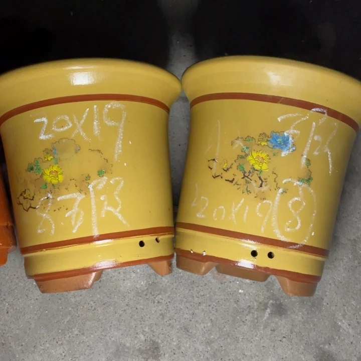 周深周深周深周深