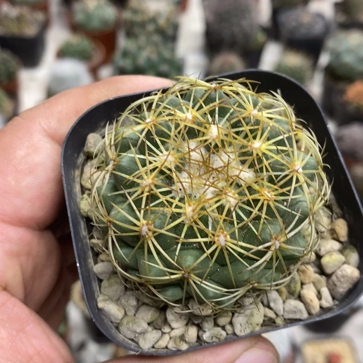 实生儒衣特价福利