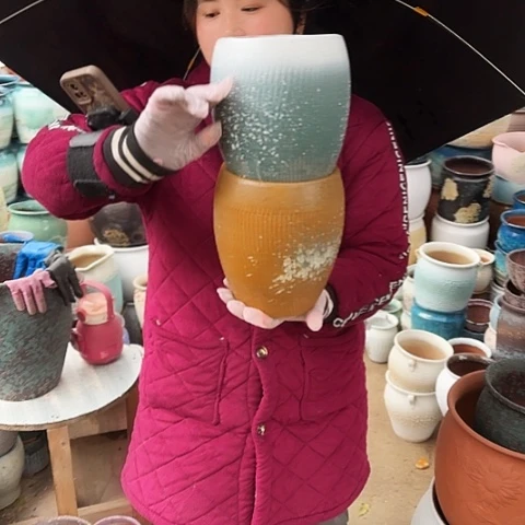 16口20高盆子盆子