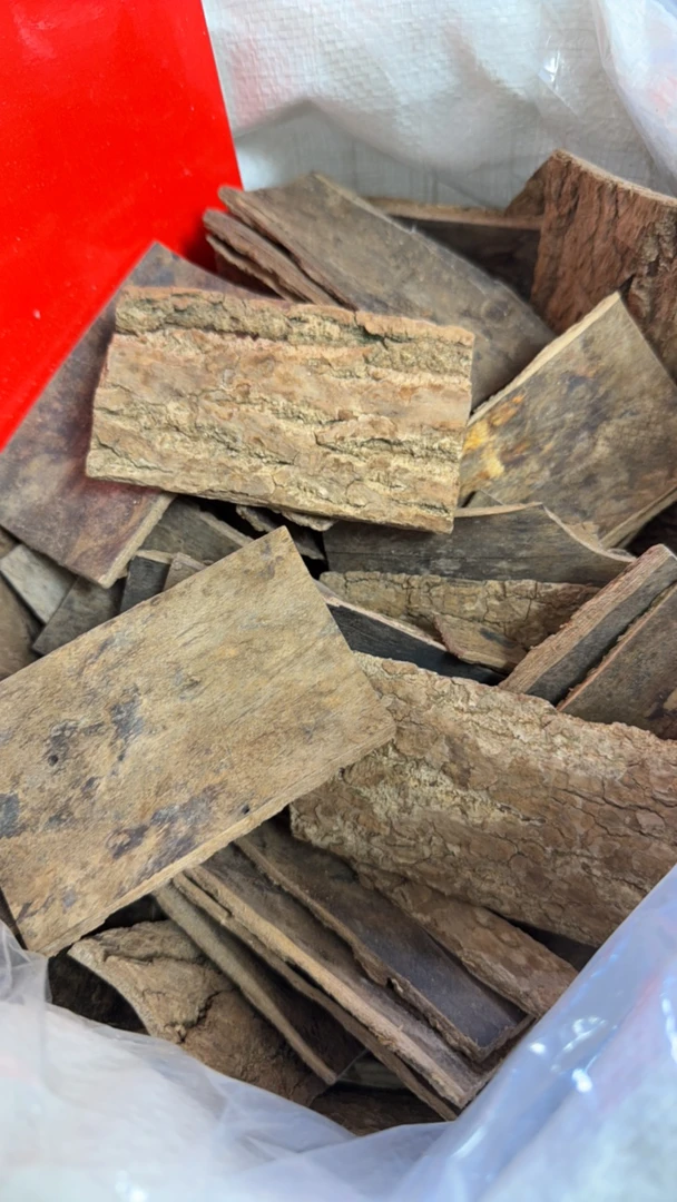 【杜仲】泡茶煲汤泡水杜仲皮 30年老树杜仲皮搭配枸杞煮水