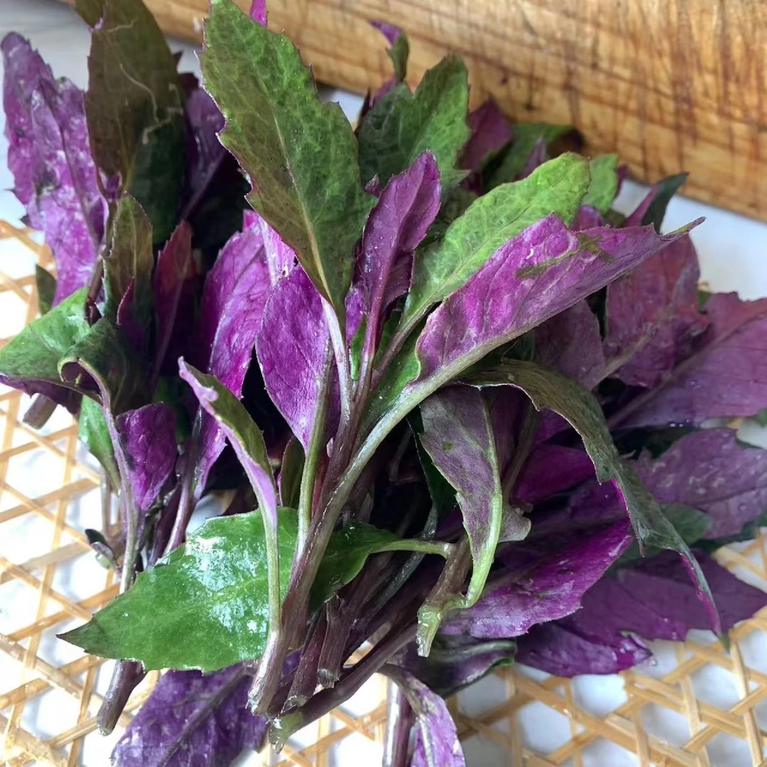 血皮菜每份约500克，（生鲜下单后，不支持退货。请慎拍。）