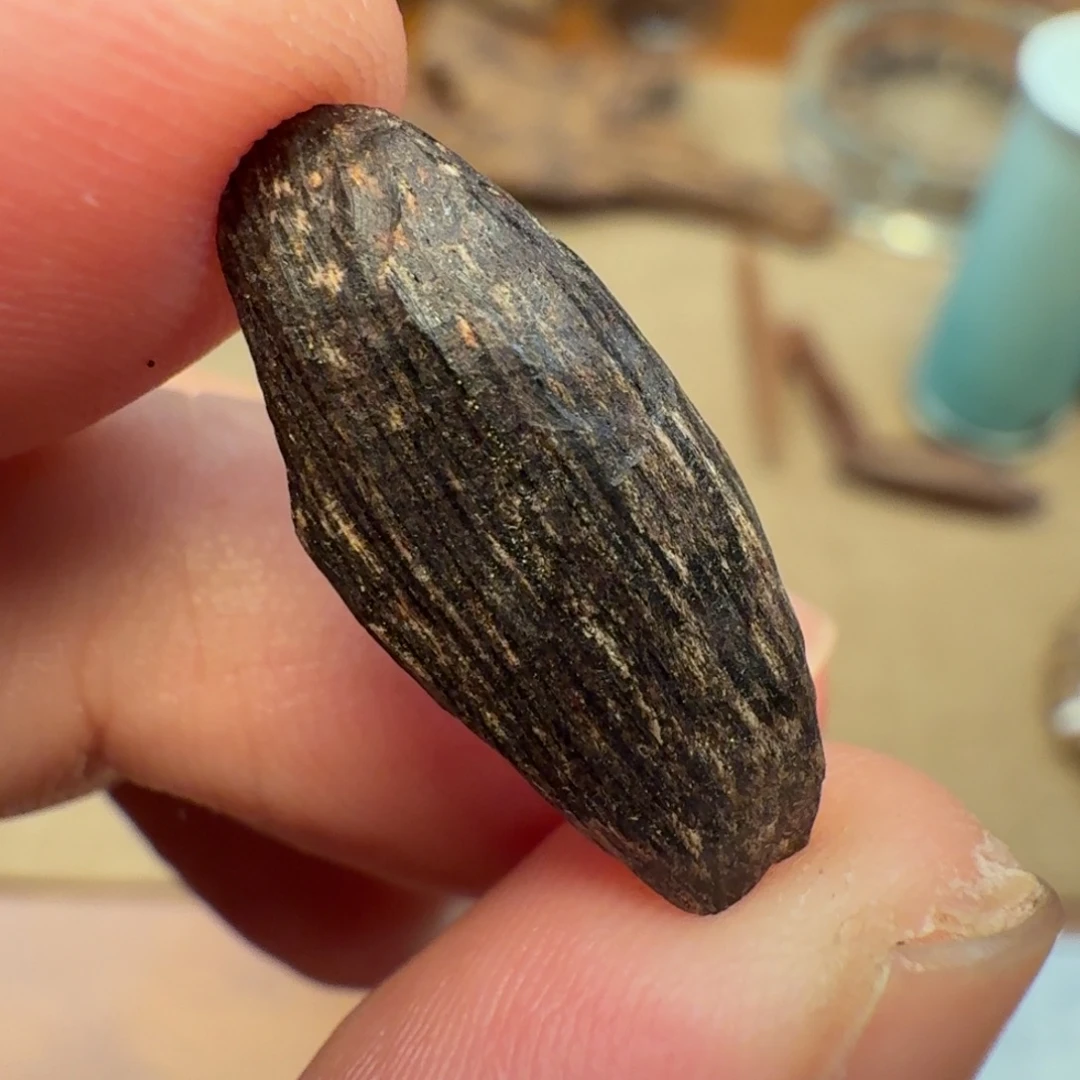 沉香香港西贡棋韵瓜子