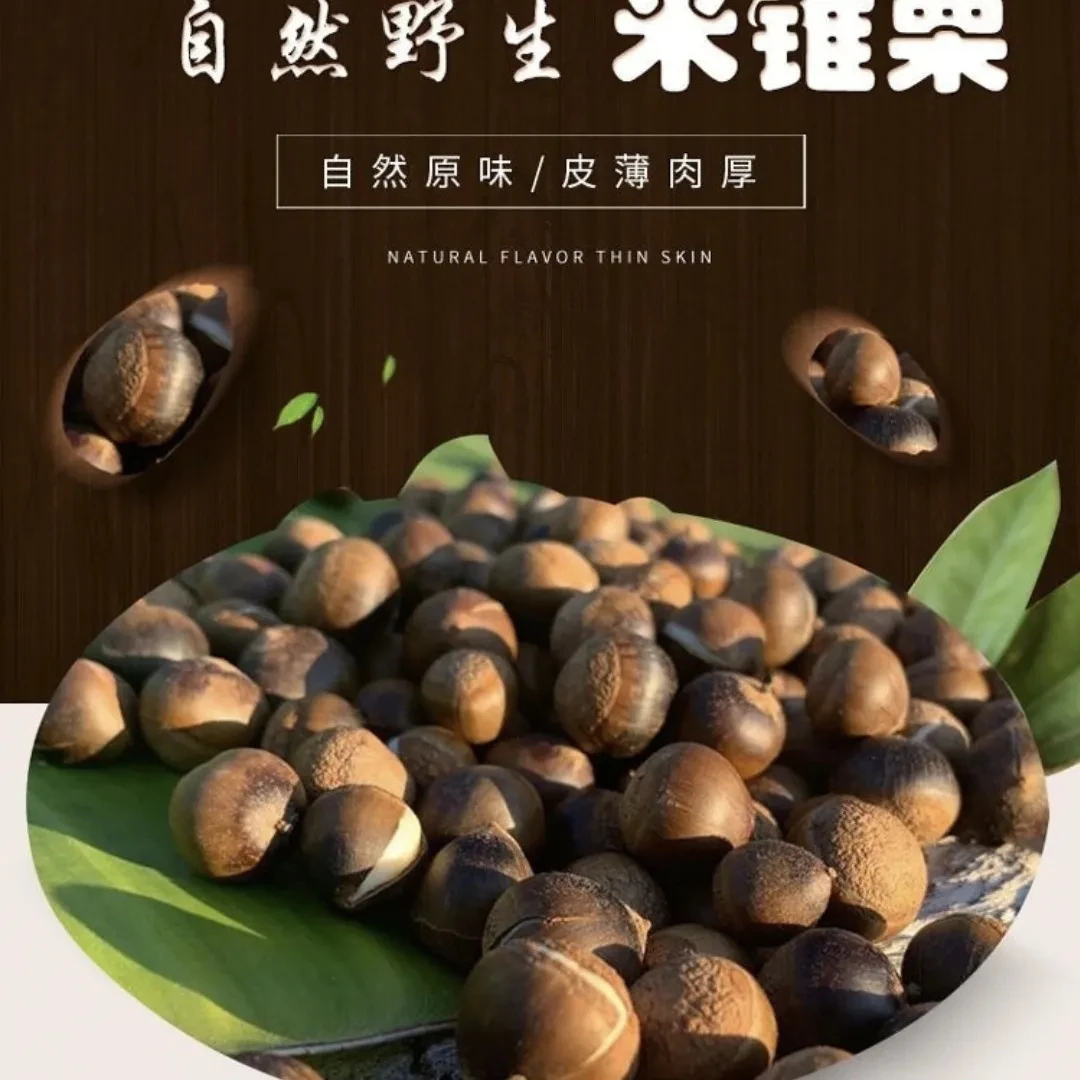 广西野生新鲜米椎子毛尖栗子锥栗坚果干货小板栗甜糯第一名小油票