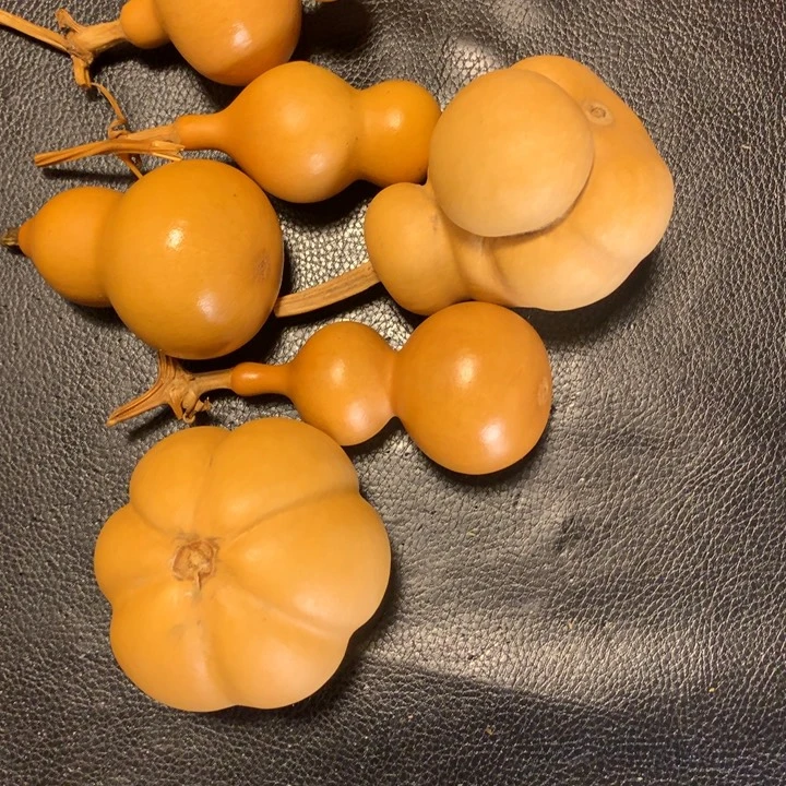 嗯哼好了就这样说啦吧哈哈