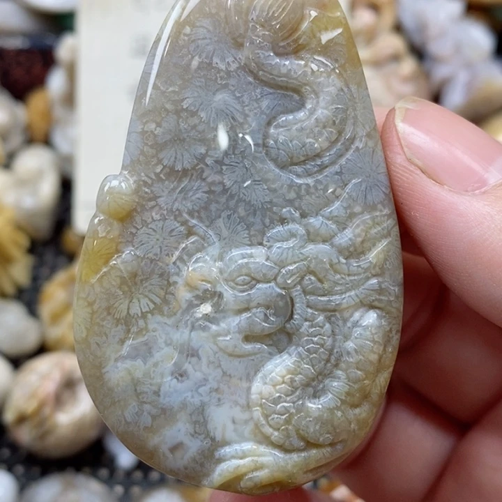 颈饰未镶嵌硅化珊瑚（珊瑚玉）