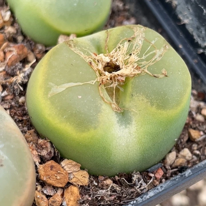 48858855558888888888888888