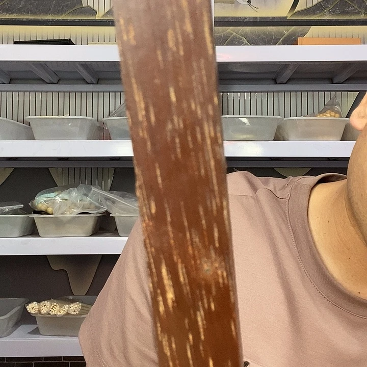 大果紫檀（缅甸花梨）529