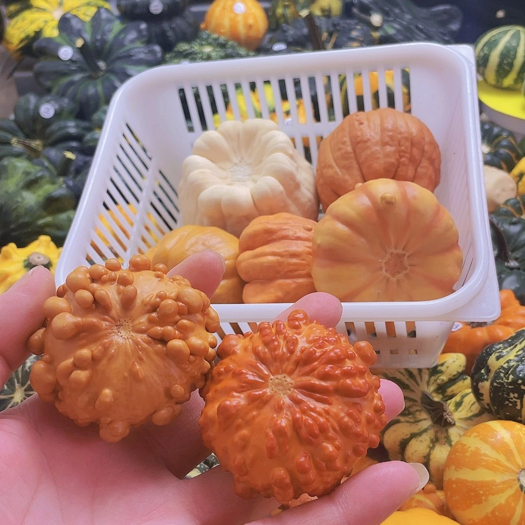 向***阳莫西个七彩哥的葫芦