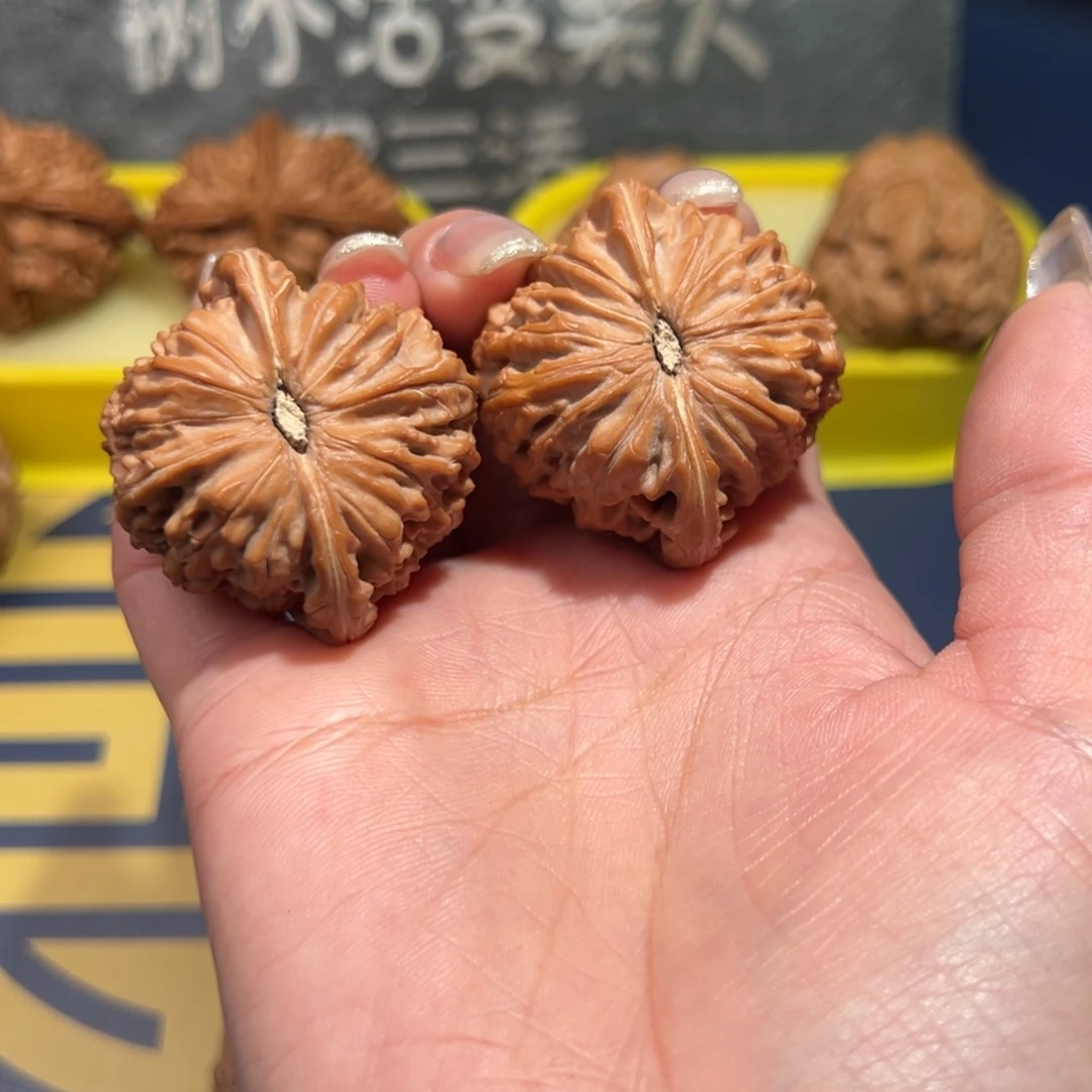 文玩核桃把件磨盘39.5