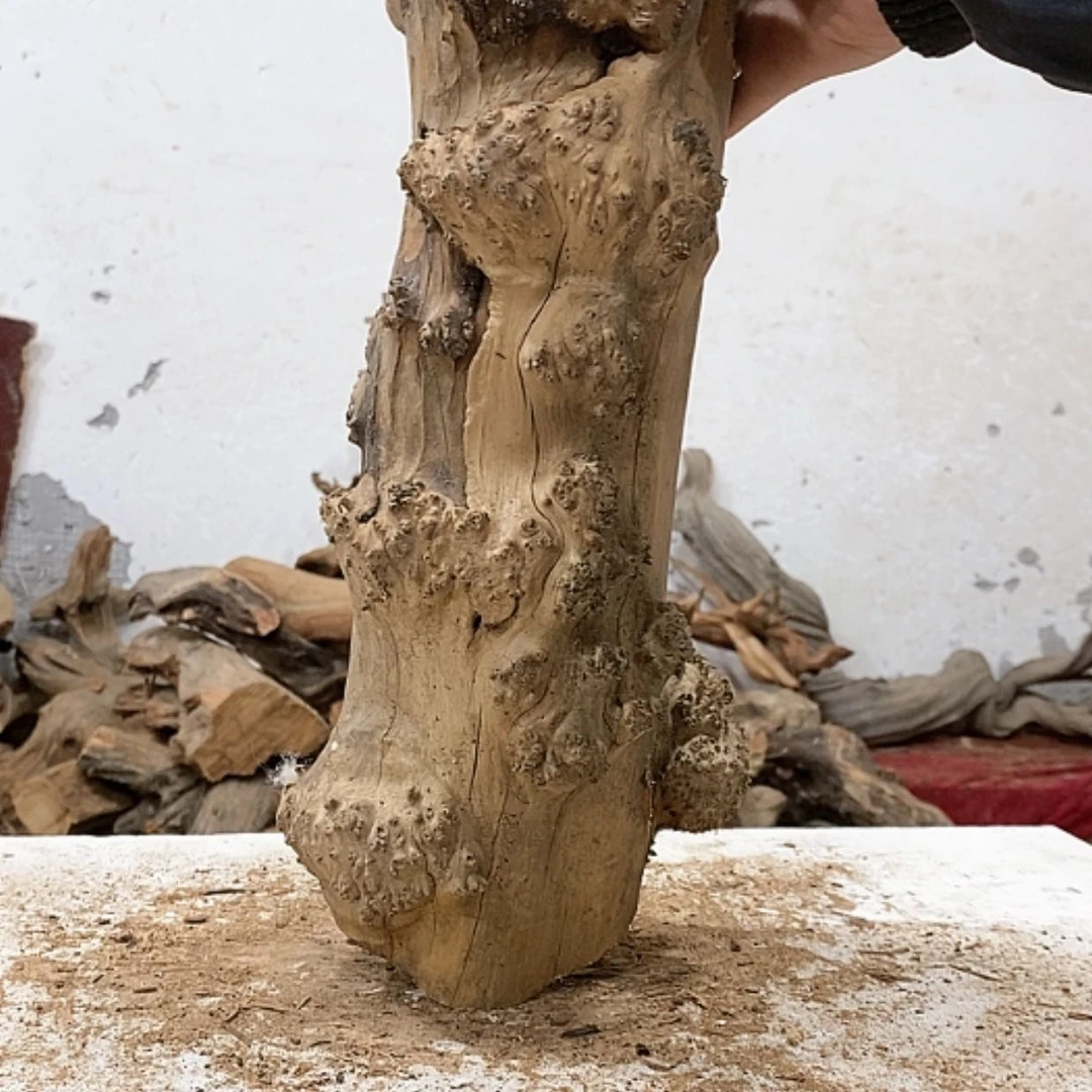 【闪购商品】柏木仰***，我们都是好孩子