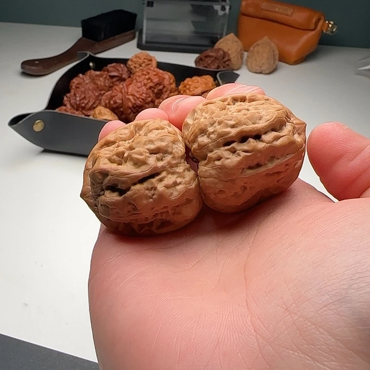 36-38-37高尖蛙蟾型好开背C2号