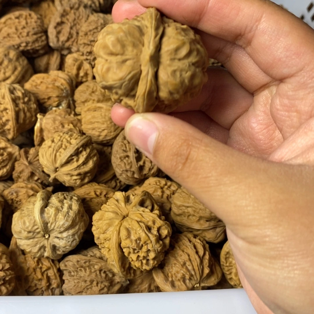 给***花大叶紫檀（黑酸枝木类）