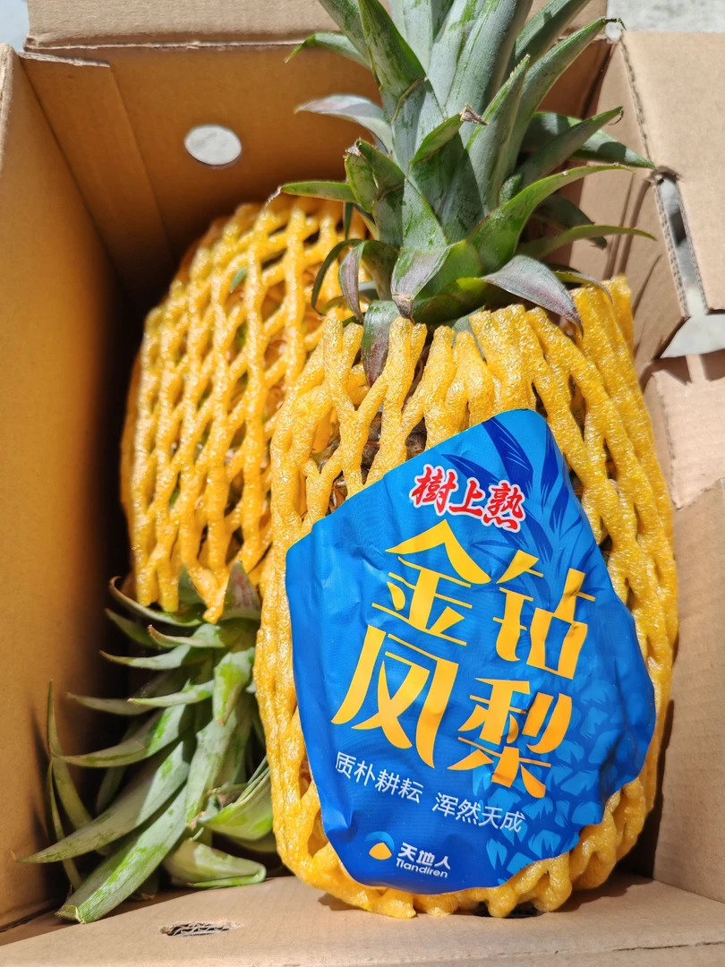 天地人【金钻凤梨】两颗分装口感酸甜无需催熟净4斤左右【顺丰直发】