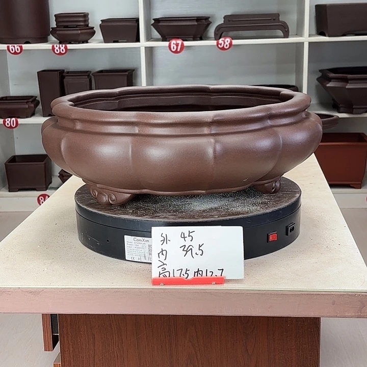 紫砂花盆菱形南瓜大