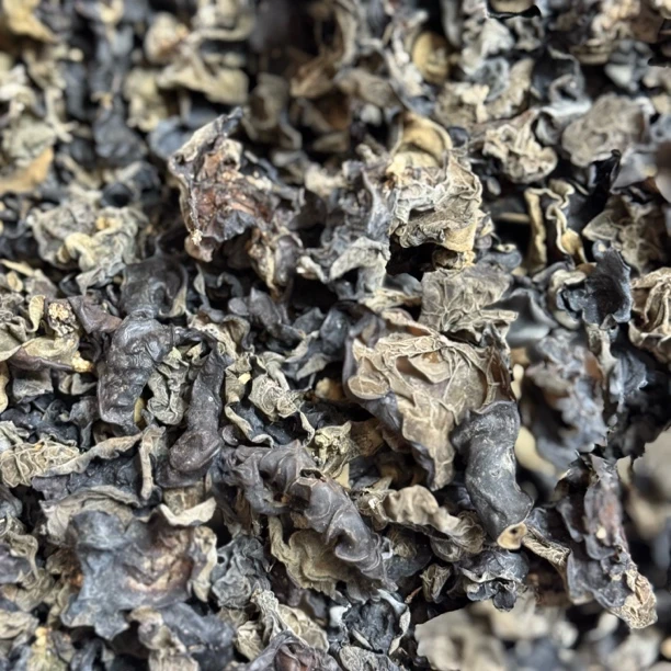 边城土特----秋木耳