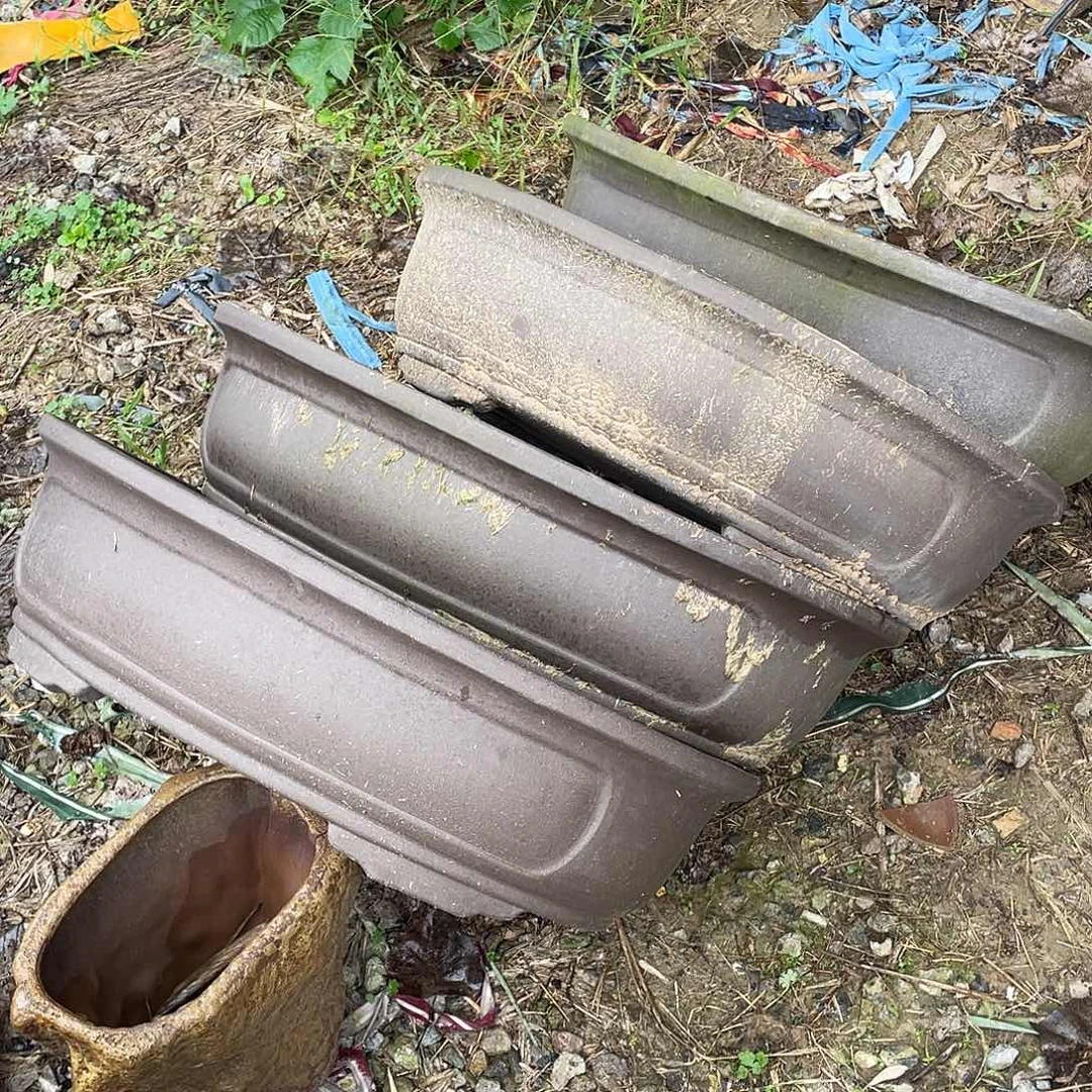 名***园紫砂特价处理四只