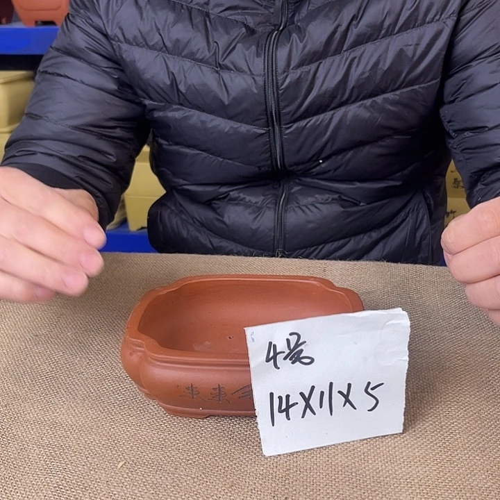 紫砂花盆海棠刻绘