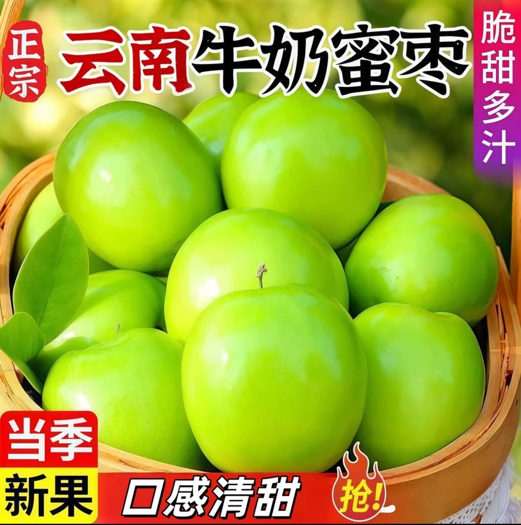 云南当季新鲜牛奶大青枣现摘树熟脆甜爽口果园直发货