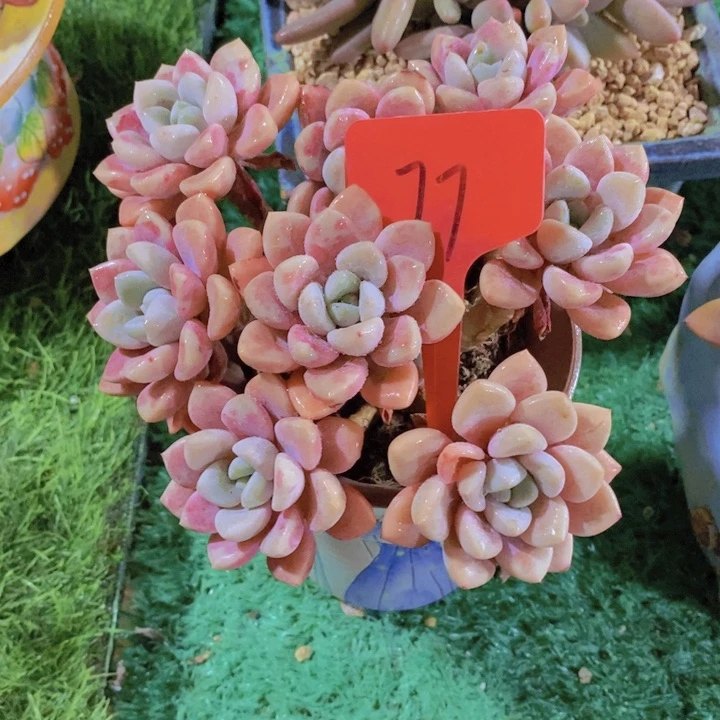 你就这样把我们之间不