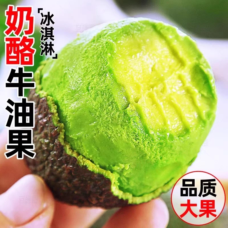 【绵密爽滑】秘鲁进口牛油果6枚鳄梨新鲜水果即食正当季熟透酪梨