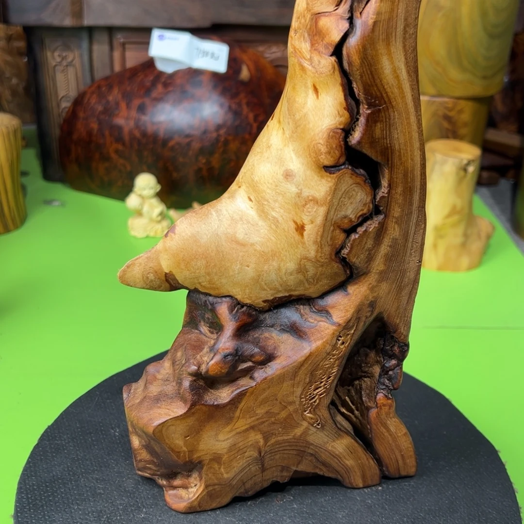 大***树大果紫檀（缅甸花梨）