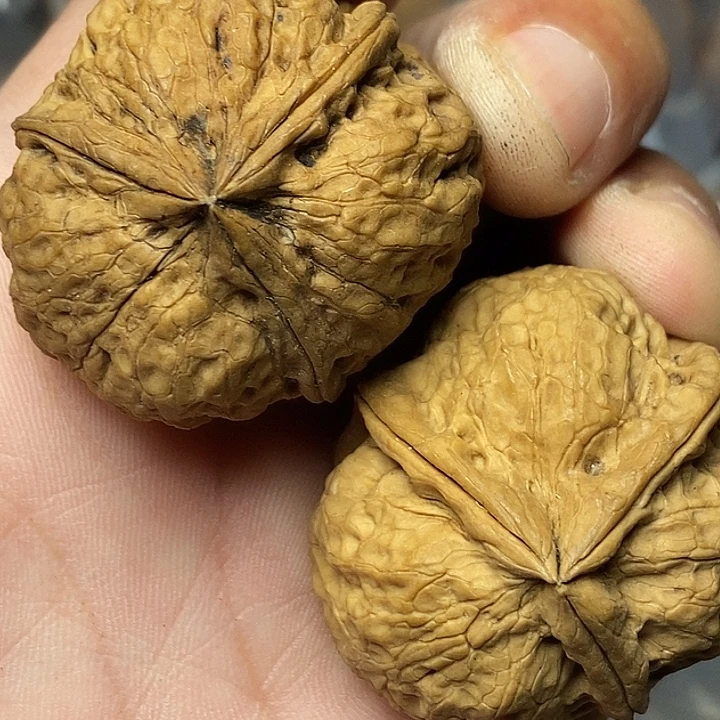 文玩核桃把件云南铁核桃81