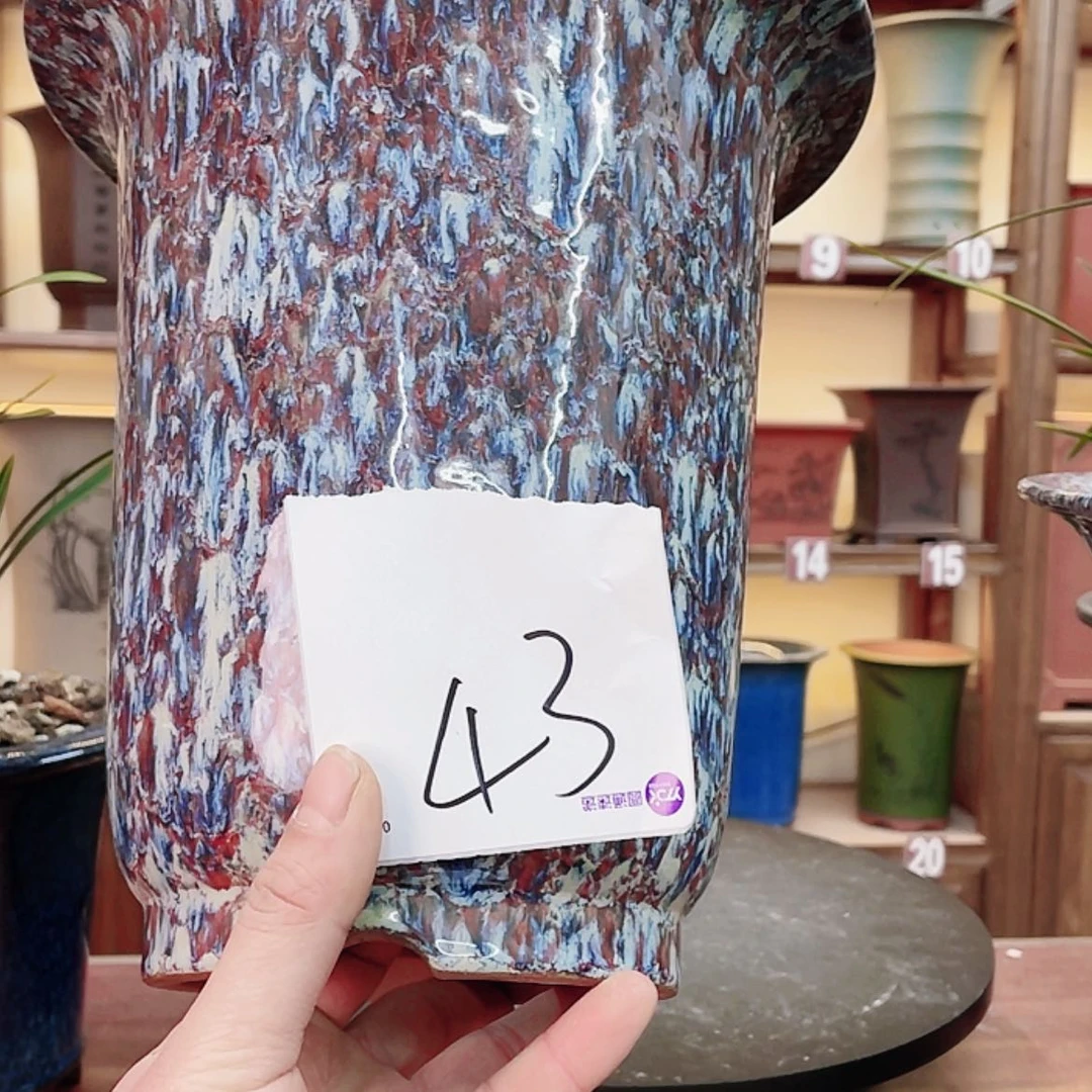 【闪购商品】紫砂花盆巴***。兰花455588755588855558