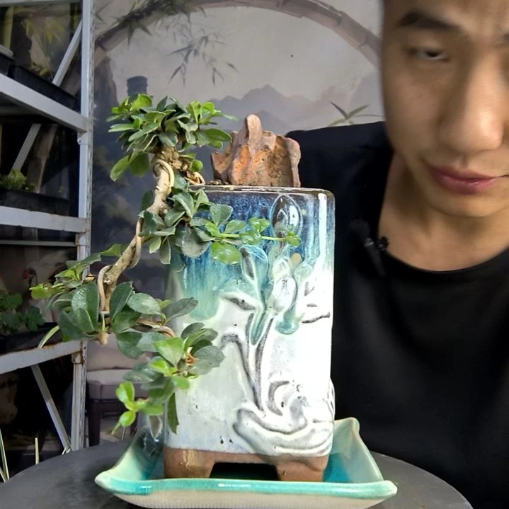 乐**师中青园艺一物一拍46