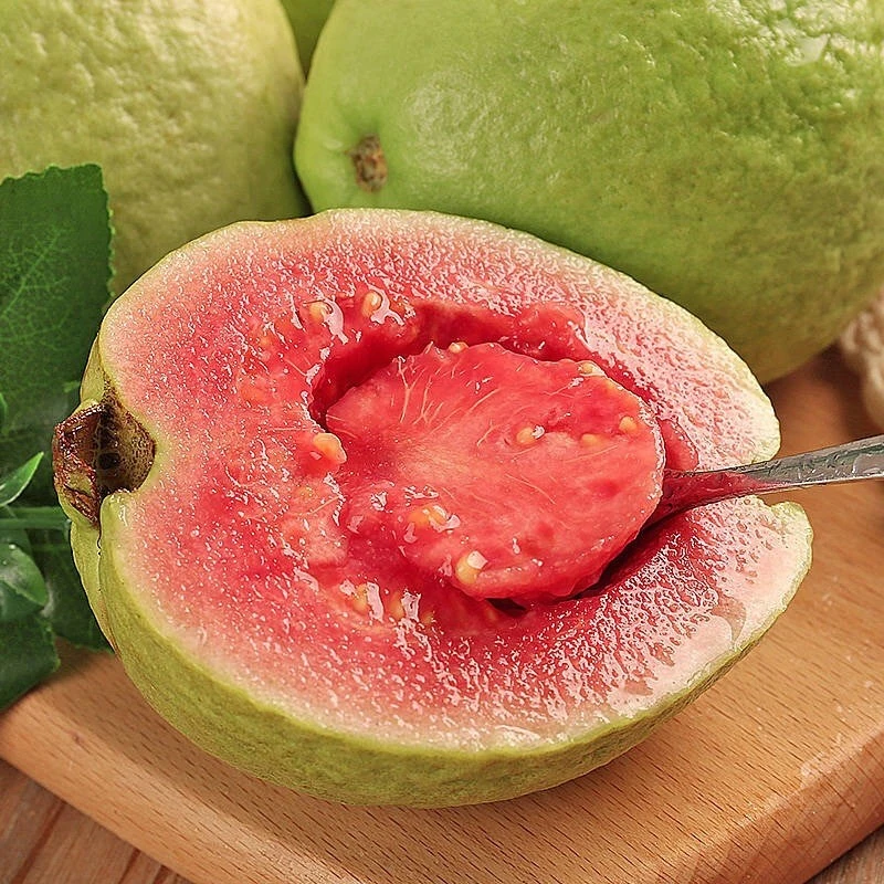 软心红心芭乐新鲜采摘软糯香甜番石榴水果冰淇淋口感