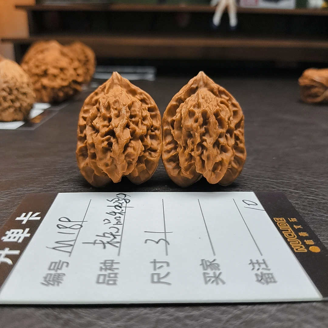 【文玩核桃】未知品种鸡心31（M189）