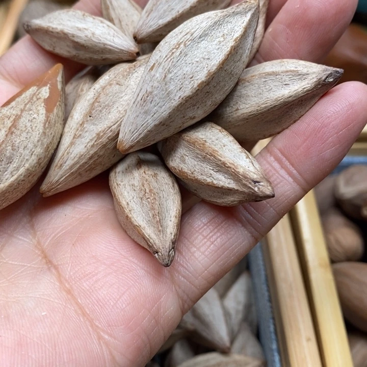 吊坠橄榄核老*子