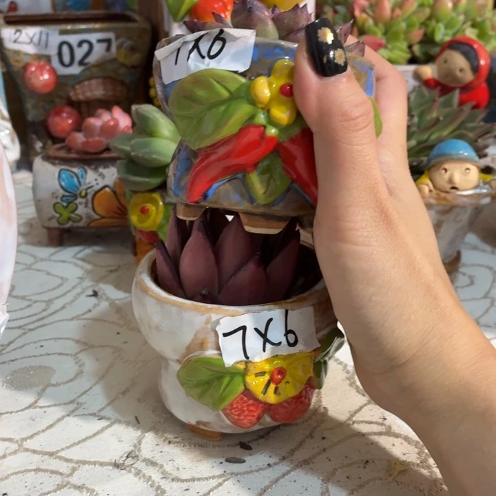 多肉花盆满15包邮爱退款拉黑