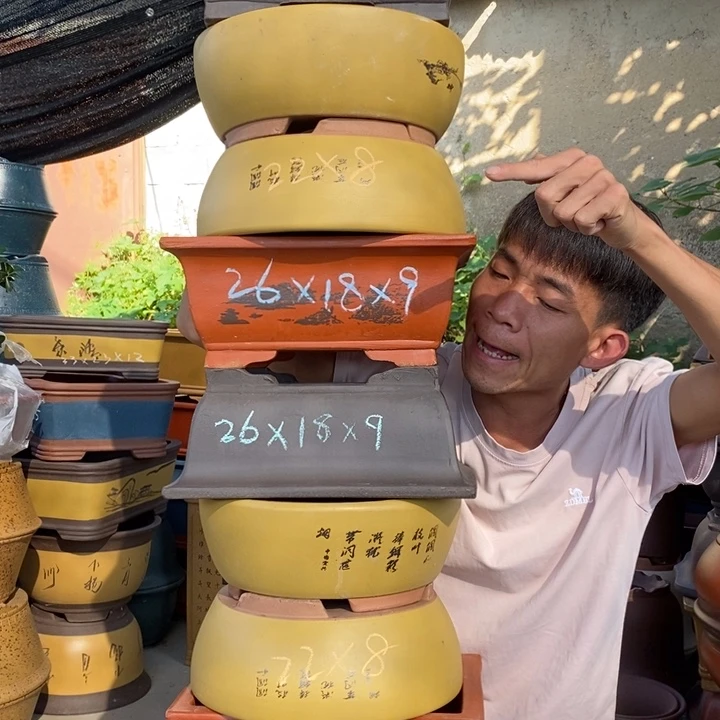 紫砂花盆紫砂艺术特价包邮