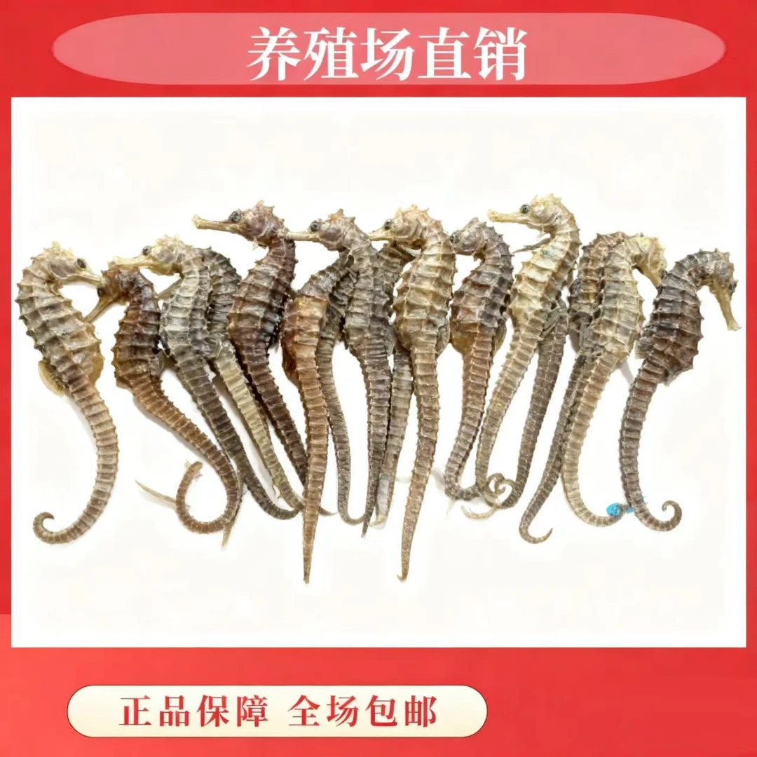 家用普通包装 （共10g）