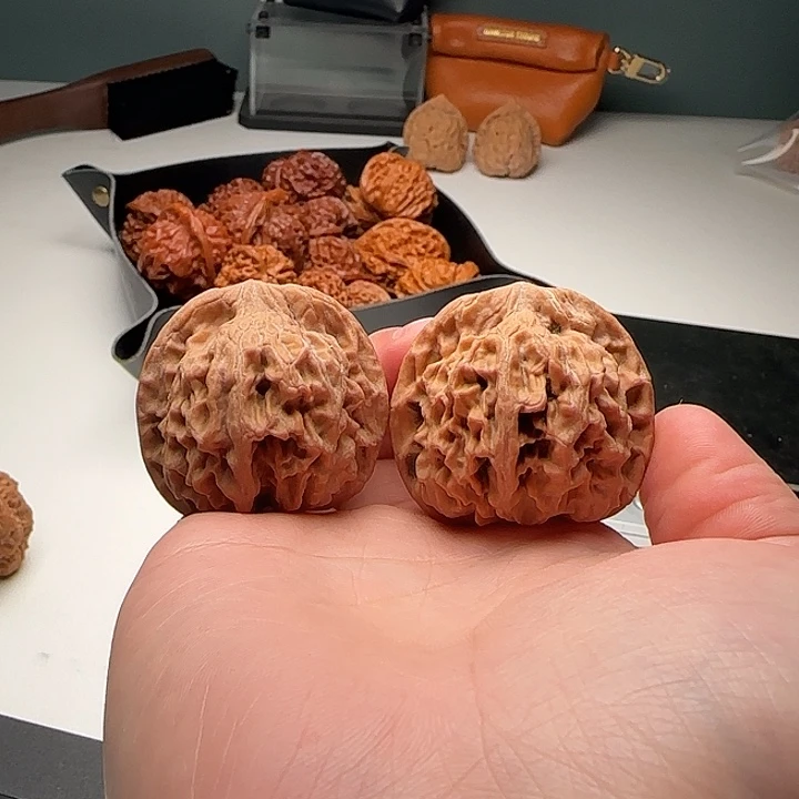 39-37-37一代天地B12号