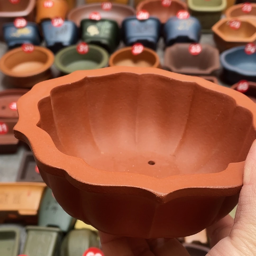 紫砂小盆13*5cmmmm