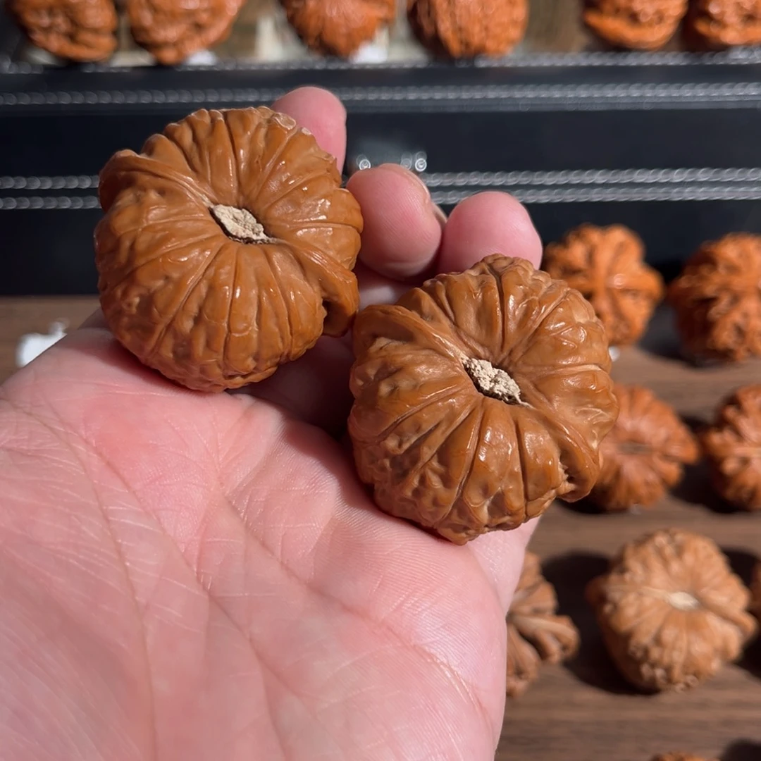 手串/手链核桃边肚44全品毕业南瓜墩