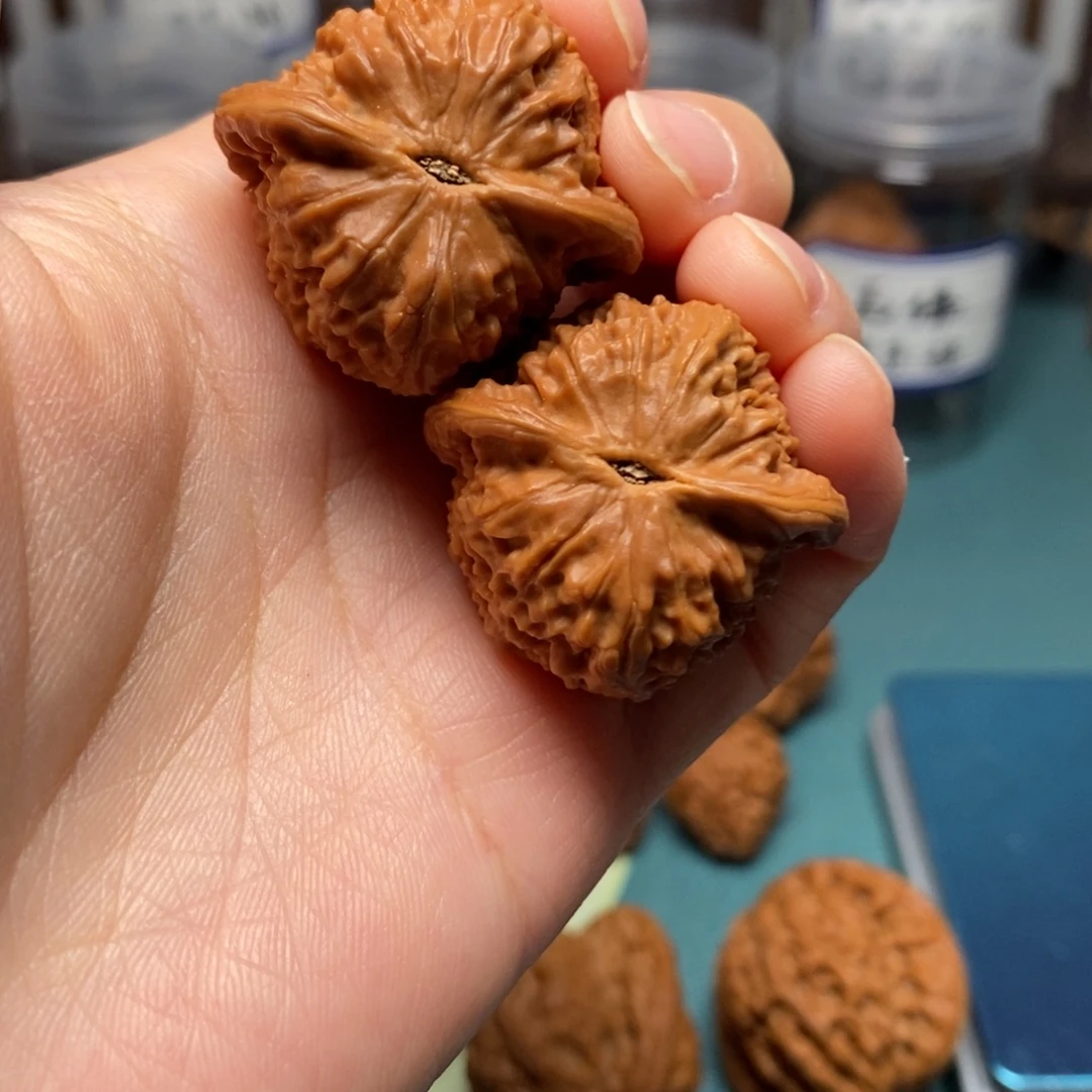 #***子核桃33尺全品七步沟