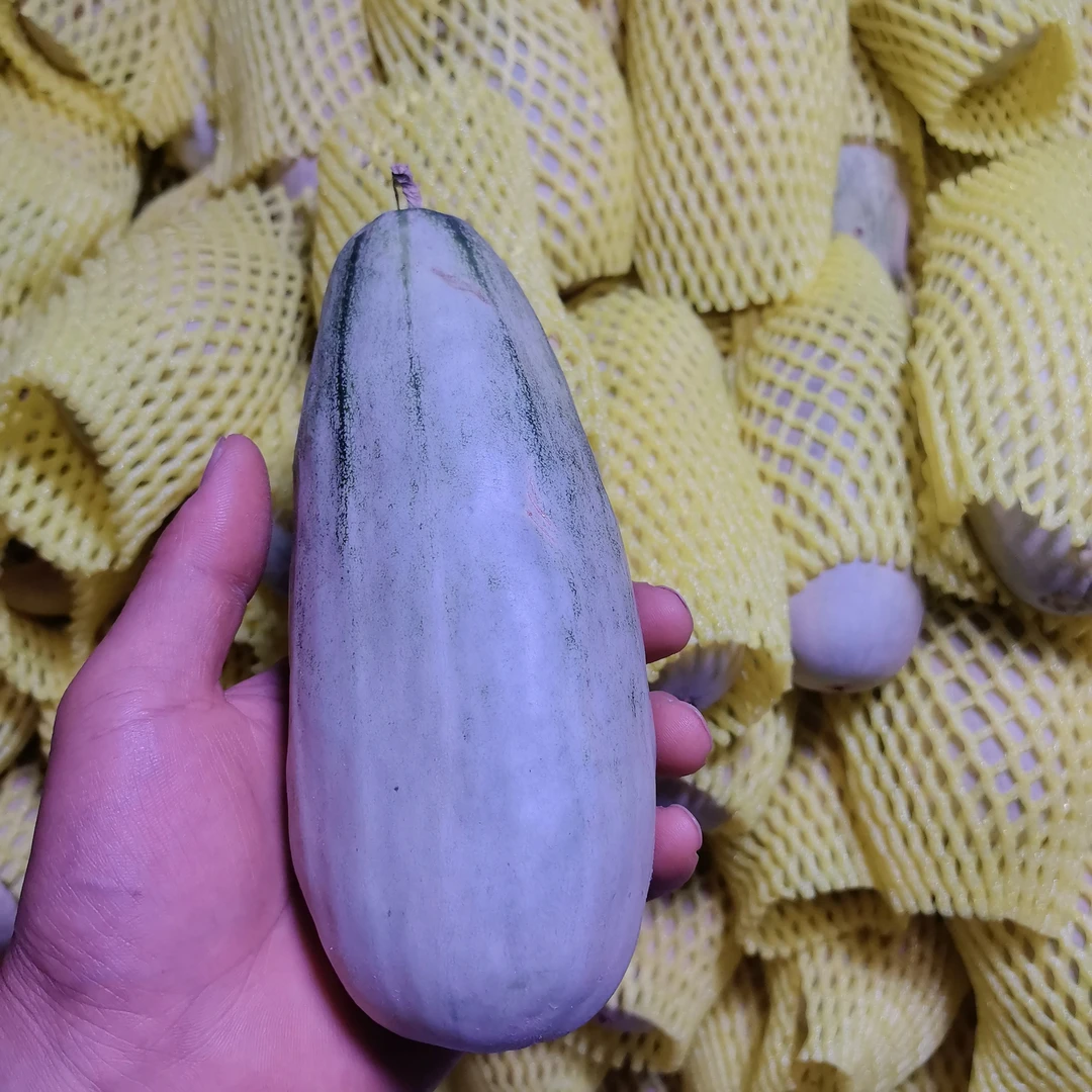 羊角蜜香瓜甜瓜批发5斤净果