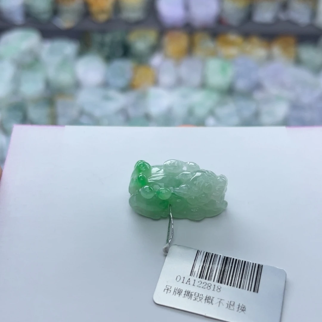 翡翠颈饰未镶嵌貔貅