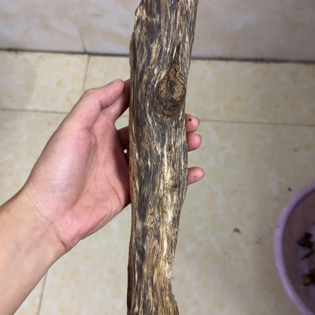 沉香碎屑沉香虫漏